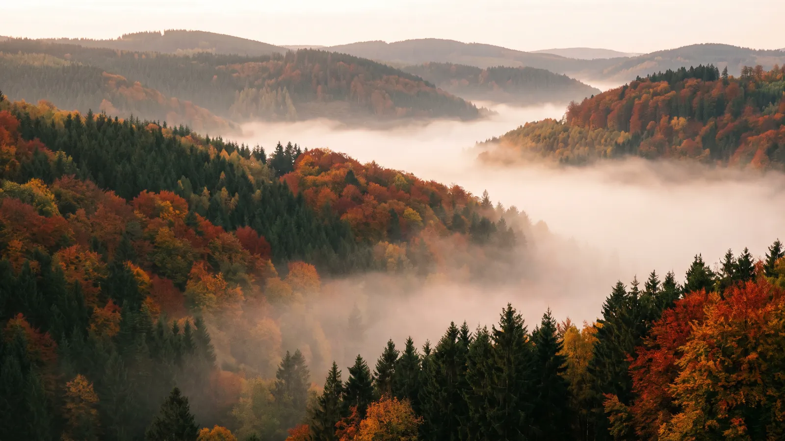 Bewaldete Höhenzüge im Rothaargebirge