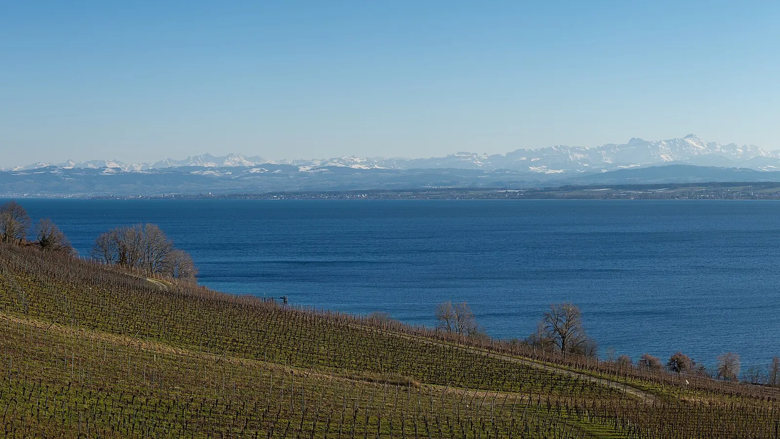 Hang über dem Bodensee mit Alpen am Horizont
