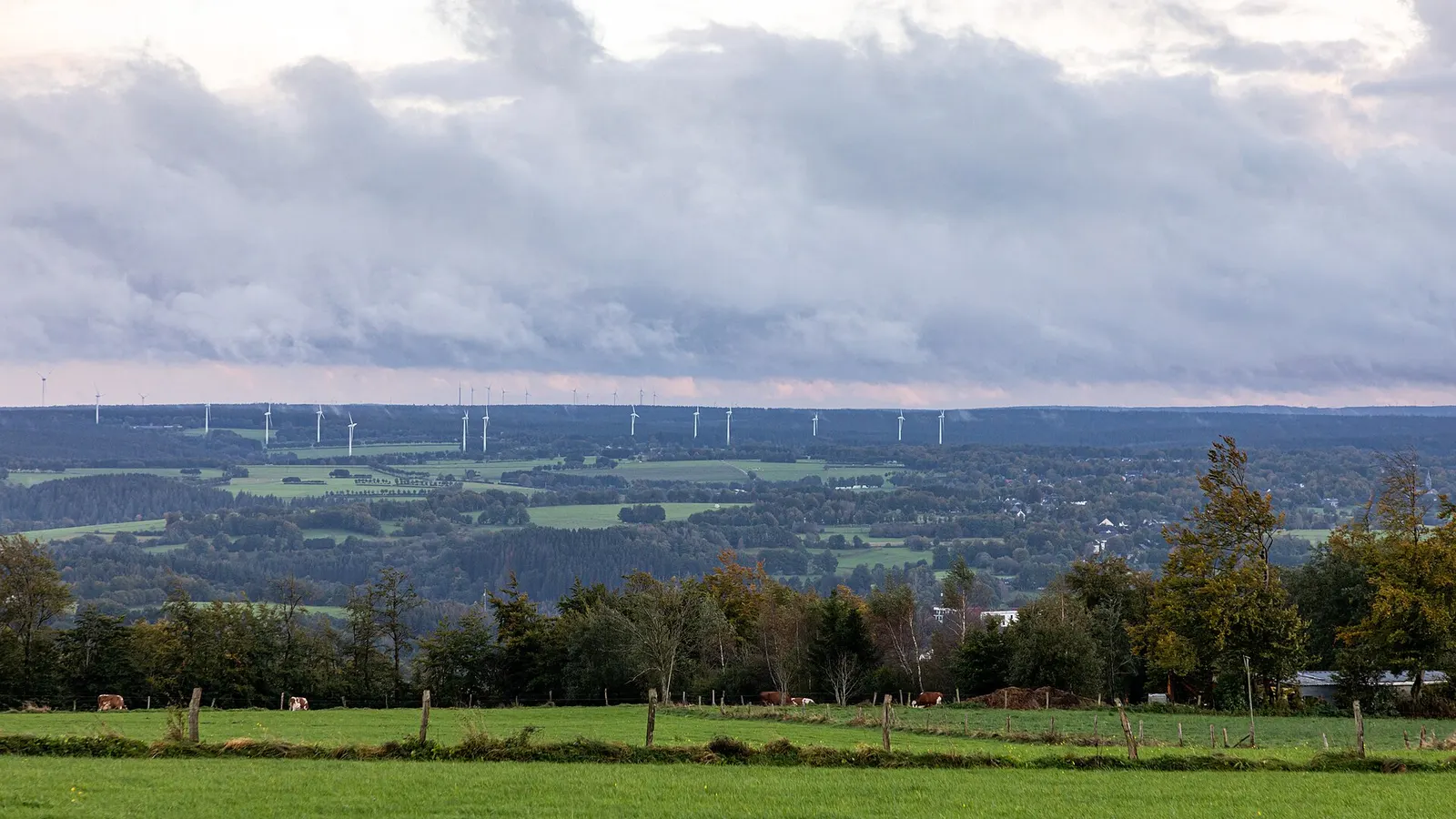 Weiter Blick über die Eifel bei Monschau-Mützenich