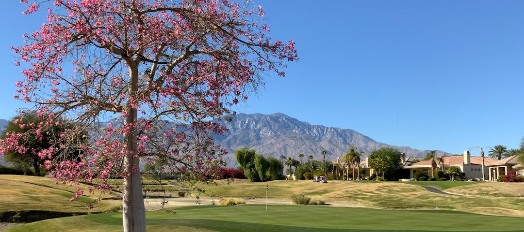 Photo Golf course
